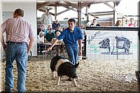 LCFAIR14-4547.jpg