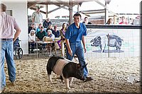 LCFAIR14-4548.jpg