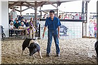 LCFAIR14-4549.jpg