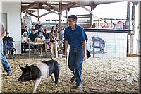 LCFAIR14-4550.jpg