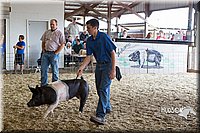 LCFAIR14-4551.jpg
