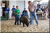 LCFAIR14-4552.jpg