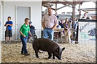 LCFAIR14-4554.jpg