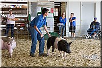LCFAIR14-4555.jpg