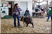 LCFAIR14-4556.jpg