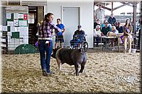 LCFAIR14-4557.jpg