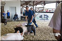 LCFAIR14-4558.jpg