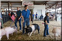 LCFAIR14-4559.jpg
