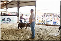 LCFAIR14-4560.jpg