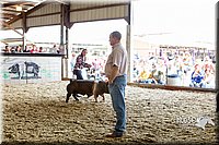 LCFAIR14-4561.jpg
