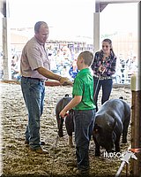 LCFAIR14-4566.jpg