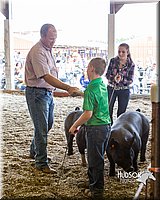 LCFAIR14-4567.jpg