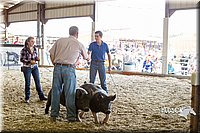 LCFAIR14-4572.jpg