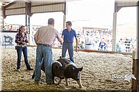 LCFAIR14-4573.jpg