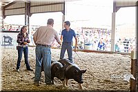LCFAIR14-4574.jpg