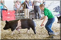 LCFAIR14-4946.jpg