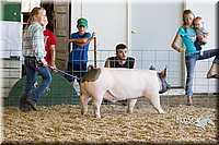 LCFAIR14-4992.jpg