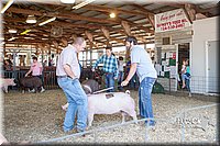 LCFAIR14-5054.jpg