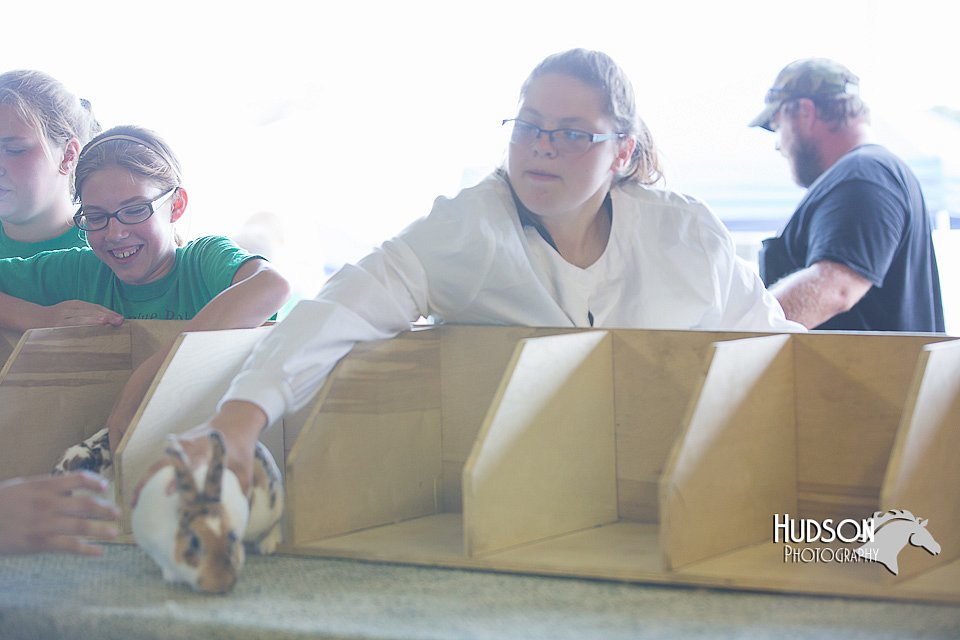 LCFAIR15-0045.jpg