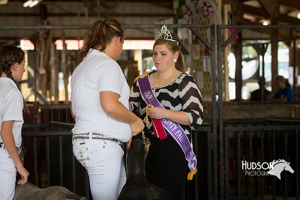 LCFAIR15-0776.jpg