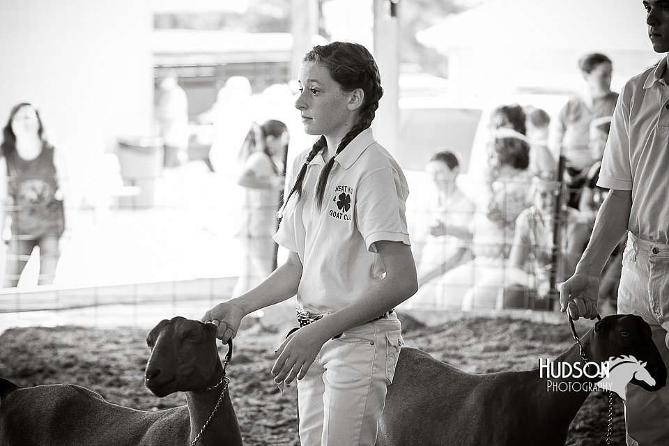 LCFAIR15-0779.jpg