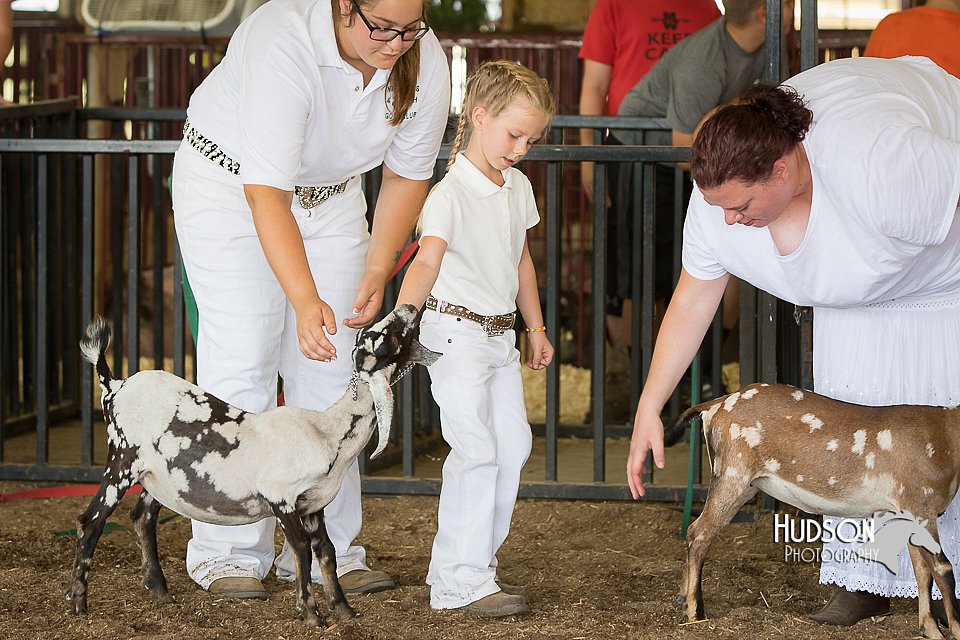 LCFAIR15-0790.jpg