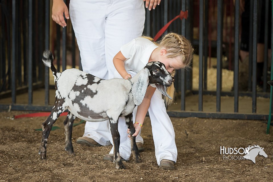 LCFAIR15-0795.jpg