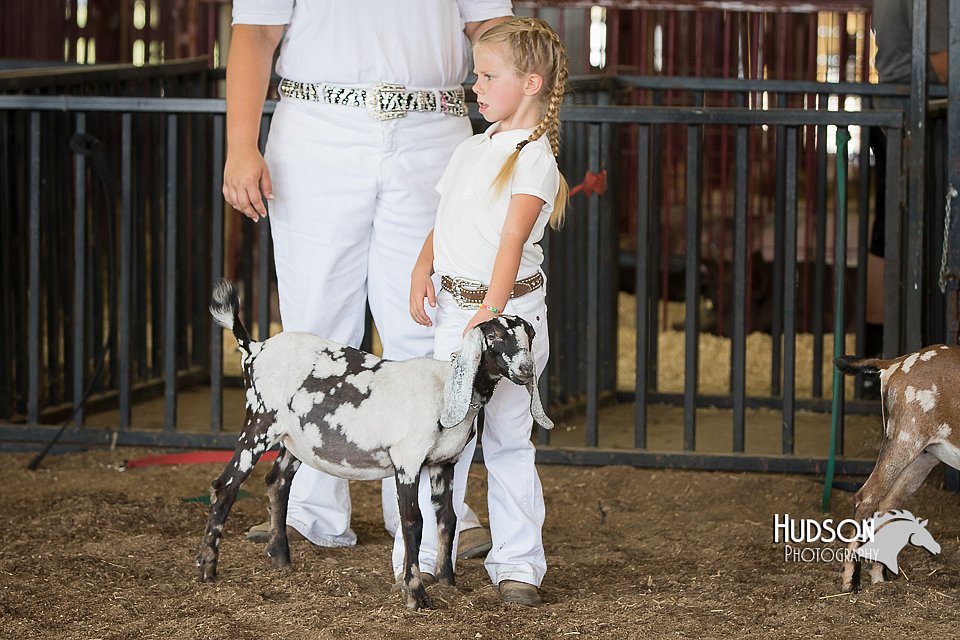 LCFAIR15-0796.jpg