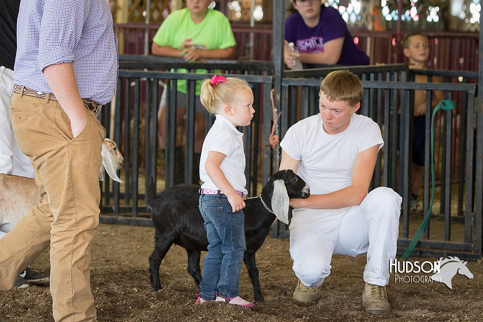 LCFAIR15-0798.jpg