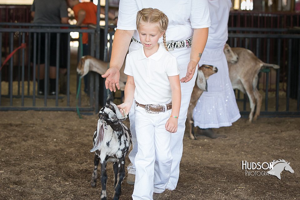 LCFAIR15-0800.jpg