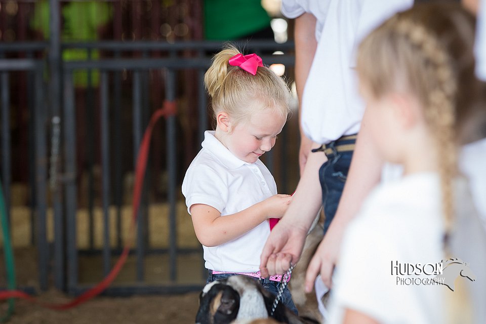 LCFAIR15-0807.jpg