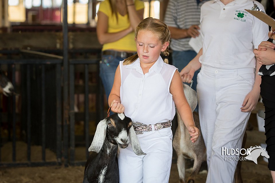 LCFAIR15-0809.jpg