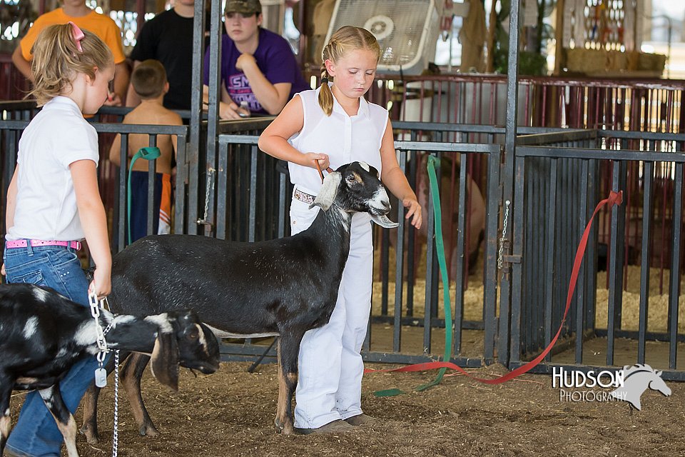 LCFAIR15-0814.jpg