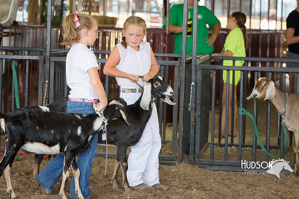 LCFAIR15-0815.jpg