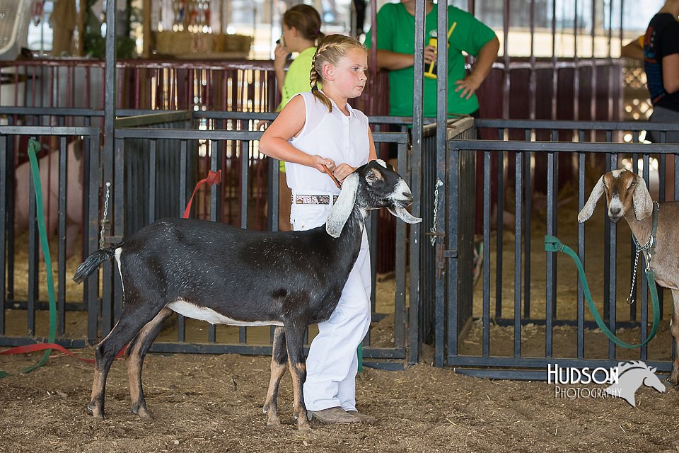 LCFAIR15-0816.jpg