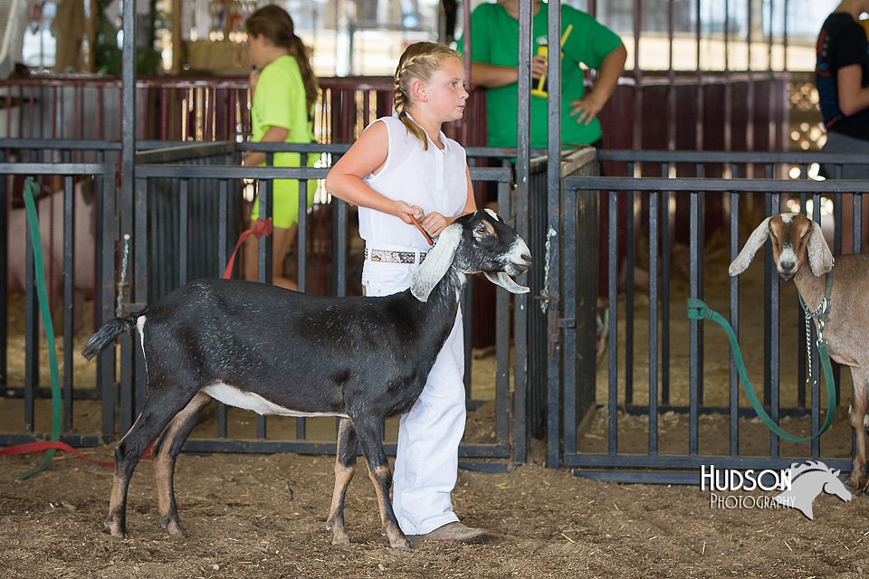 LCFAIR15-0817.jpg