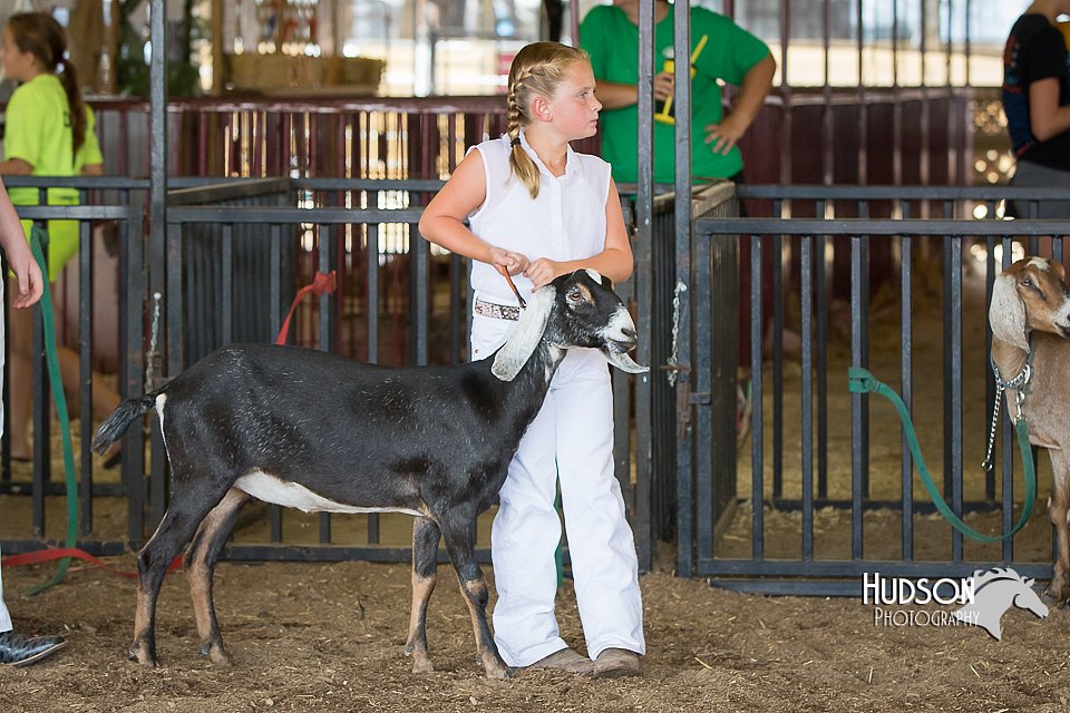 LCFAIR15-0818.jpg
