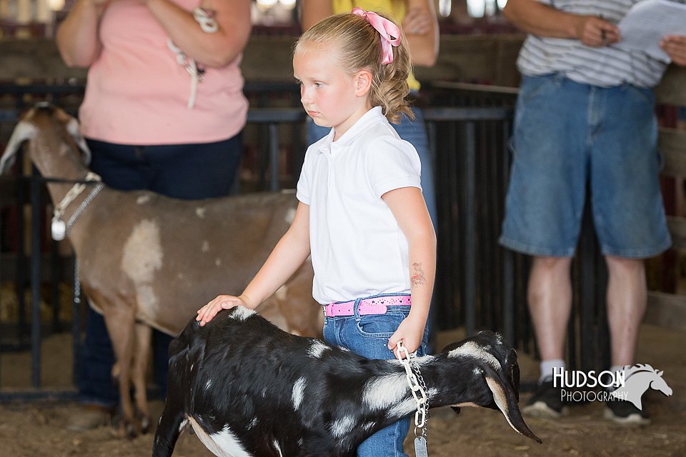 LCFAIR15-0821.jpg