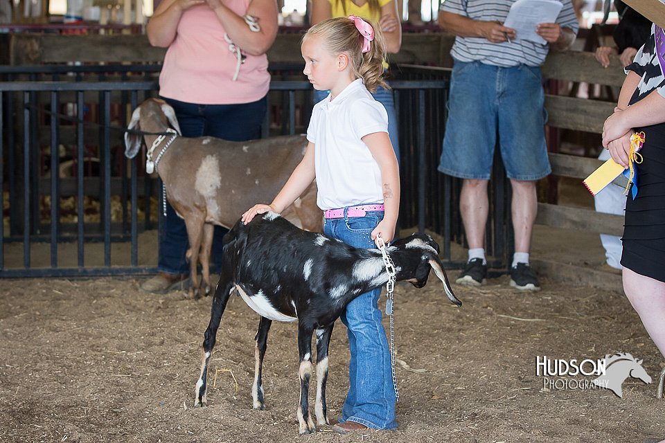LCFAIR15-0822.jpg