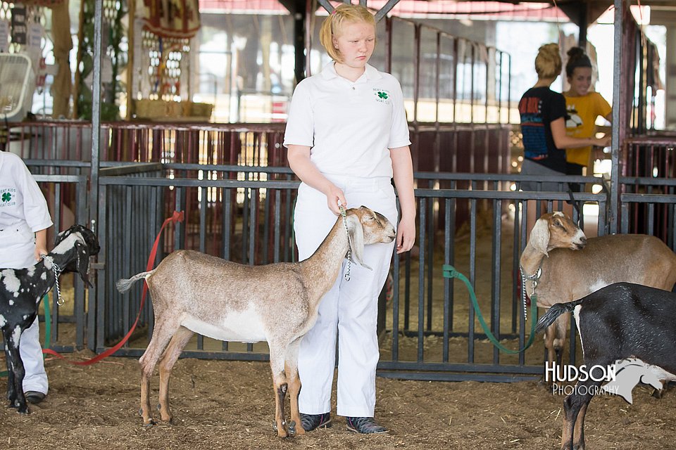 LCFAIR15-0825.jpg