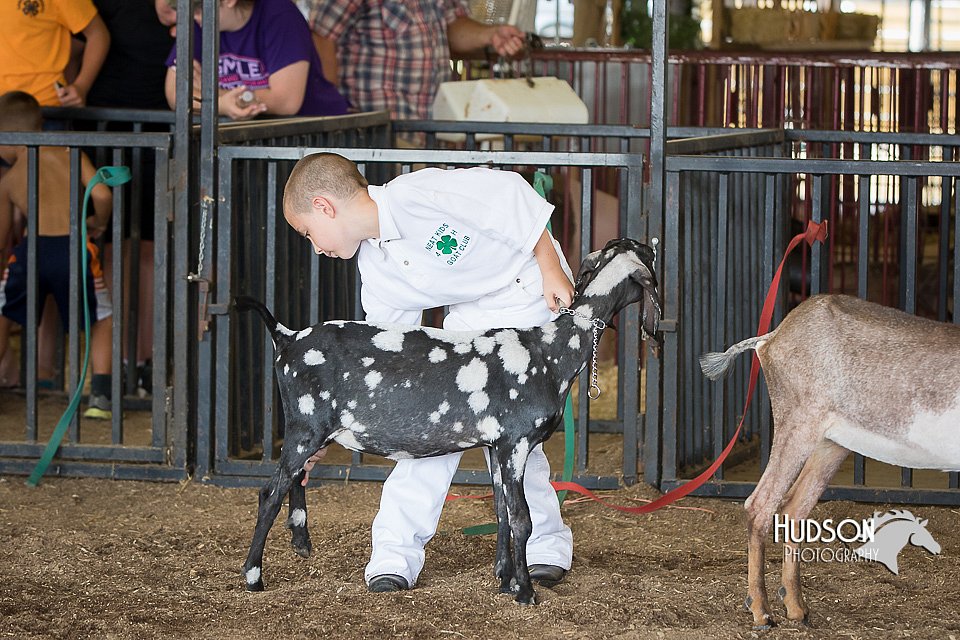 LCFAIR15-0826.jpg