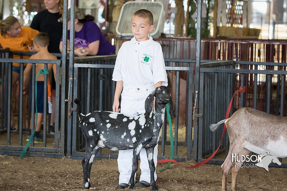 LCFAIR15-0827.jpg