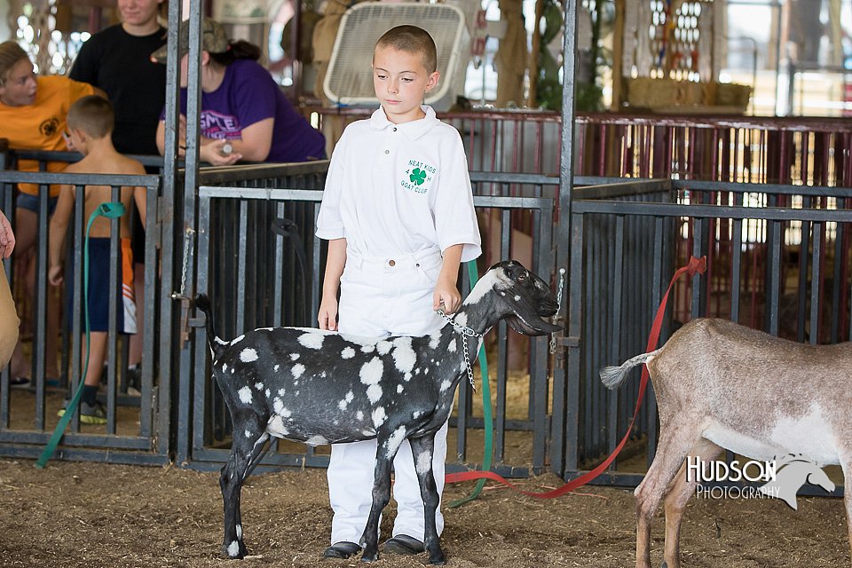 LCFAIR15-0828.jpg