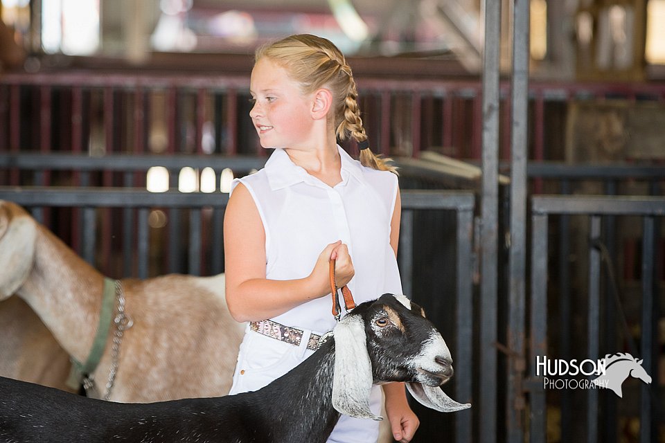 LCFAIR15-0829.jpg