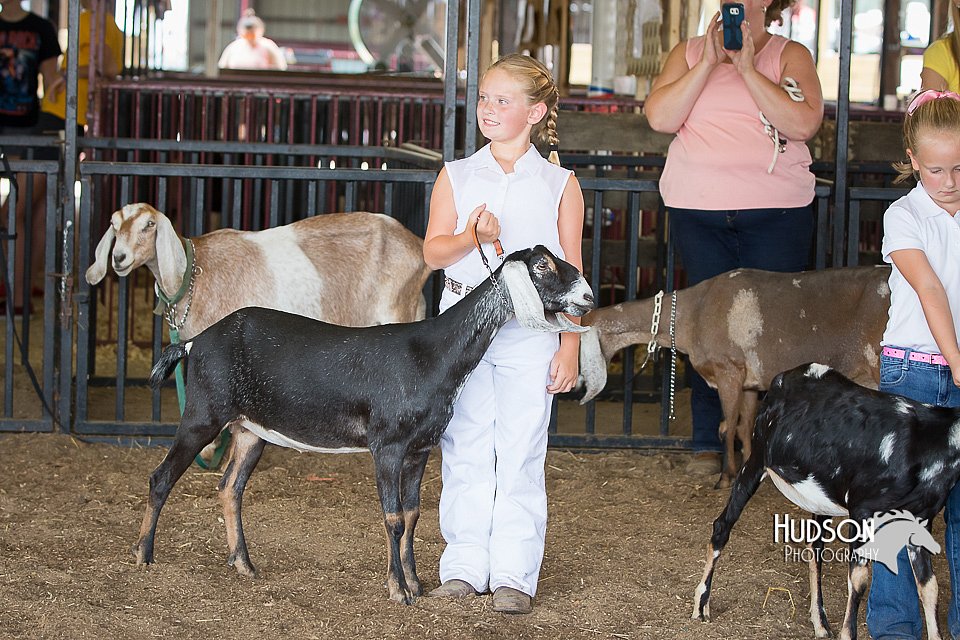 LCFAIR15-0831.jpg