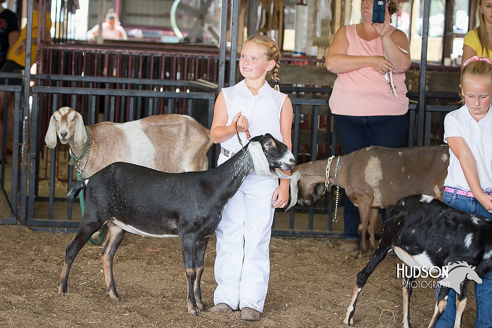LCFAIR15-0832.jpg