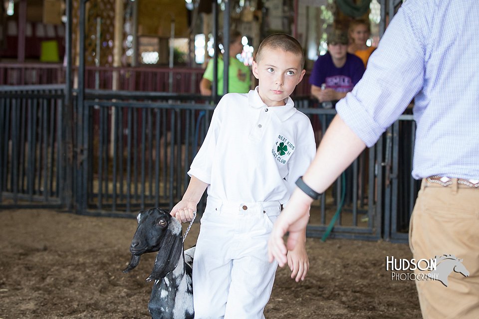 LCFAIR15-0833.jpg