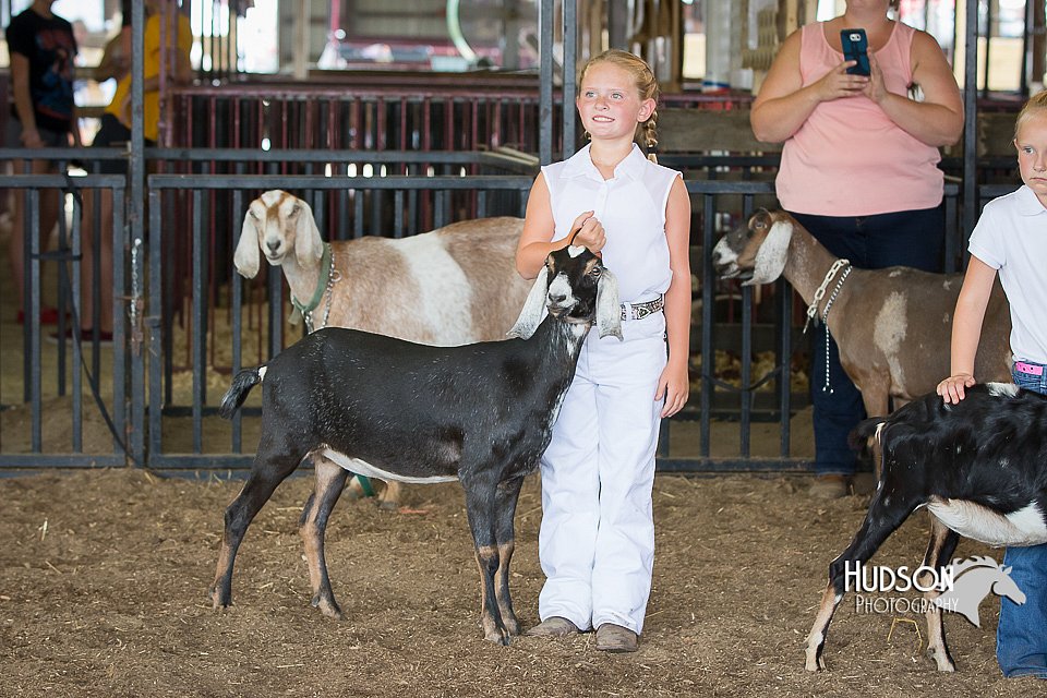 LCFAIR15-0834.jpg
