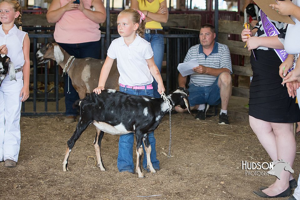 LCFAIR15-0835.jpg