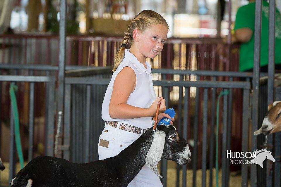 LCFAIR15-0837.jpg
